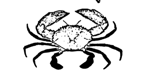 Samoan crab